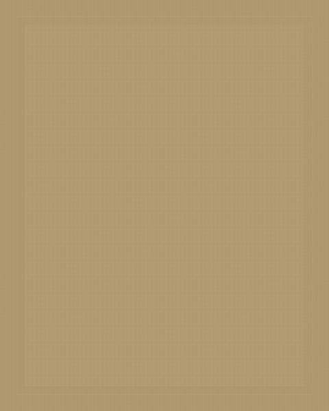 Stretch Chino Pant in Khaki